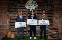 Vencedores CFC 