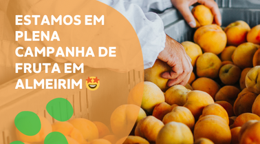 Campanha